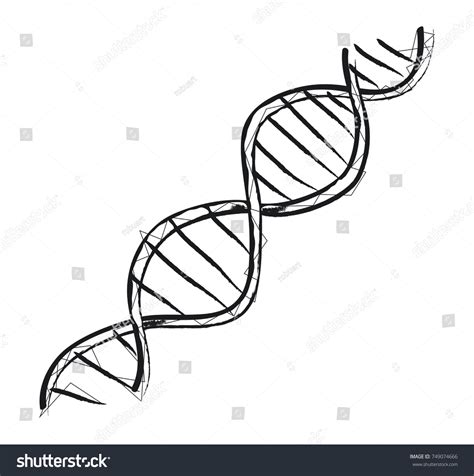 2,877 Genetic Sketch Images, Stock Photos & Vectors | Shutterstock