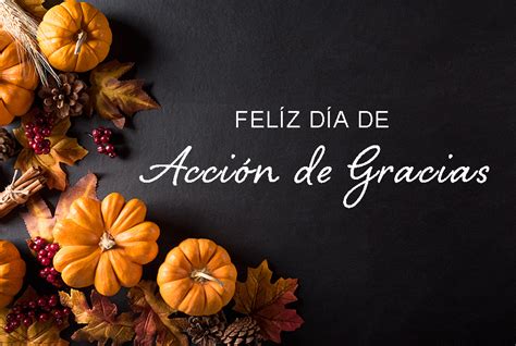 Feliz Día de Acción de Gracias - Blog