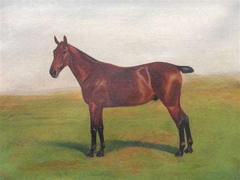 Portrait of a Bobtail Horse in Pasture, Painting at 1stDibs | bobtail ...