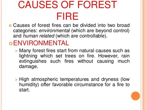 Forest fire a natural disaster