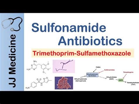 Sulfonamides: Mechanism of Action, Classification and Examples - science - 2024