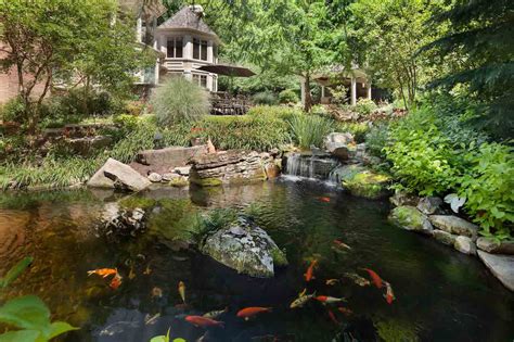 The Essentials of Koi Pond Design & Maintenance in Northern Virginia