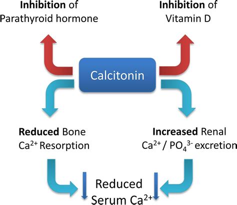 How to use… Procalcitonin | ADC Education & Practice Edition