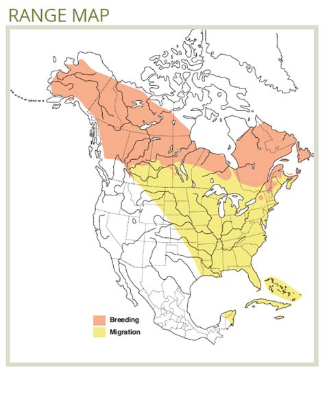 Blackpoll Warbler Forestry Fact Sheet - fRI Research