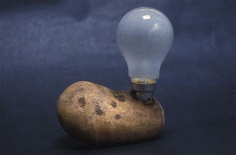 potato light | Potato light | Flickr - Photo Sharing! | Bulb, Light bulb, Decor