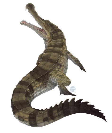 Sarcosuchus | Prehistoric Wiki | Fandom