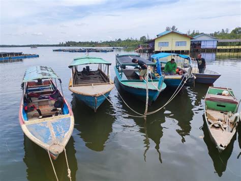 KKP Akan Salurkan Bantuan BBM untuk Nelayan Tradisional - Ulasan.co