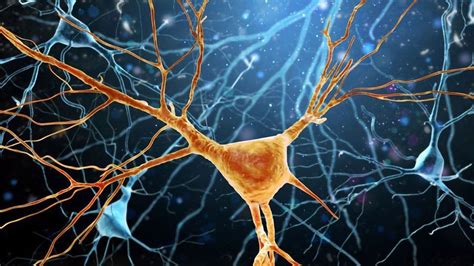 Developing Novel Treatments for CNS Diseases | Technology Networks