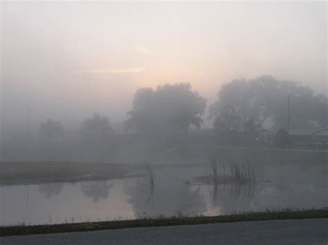 Avon Park Misty Sunrise | Taken on January 2, 2003 in Avon P… | Flickr
