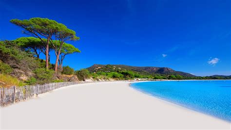 Hintergrundbilder : Natur, Landschaft, Sand, Wasser, Bäume, Küste, klarer Himmel, Korsika ...