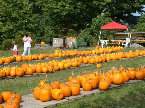 New Hampshire (NH) Fall Foliage Photos: Foliage Photos from around New Hampshire