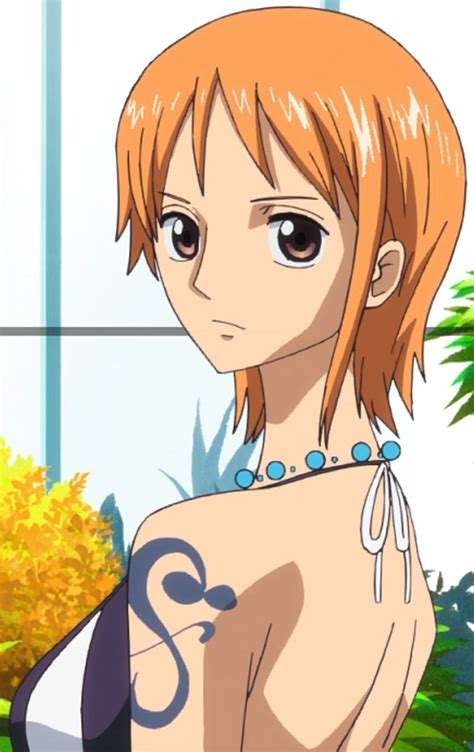 Nami one piece - garetnew