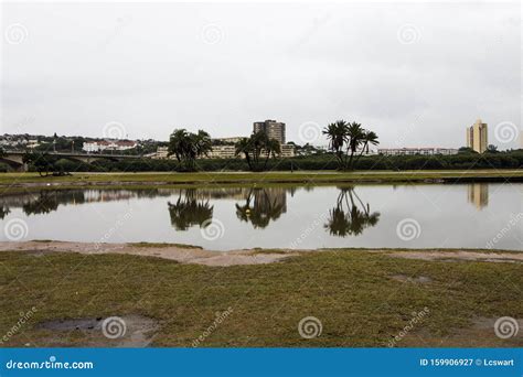 Reflections in the Water on a Rainy Day Stock Image - Image of calm ...