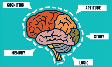 Principles Of Statistics For Brain And Cognitive Science – Edukite