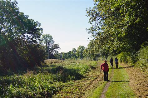 Walks in East Yorkshire - Pocklington Canal, Bielby Lock, Melbourne and Allerthorpe