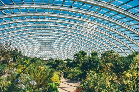 Architecture: The Great Glasshouse Dome in Wales — Musée Magazine