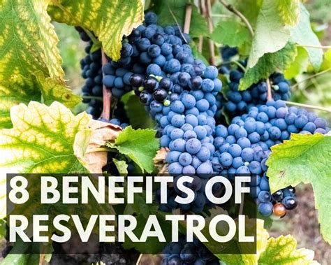 8 Suprising Resveratrol Benefits