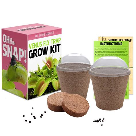 Buy Venus Fly Trap Growing Kit - All in One Carnivorous Growing Kit - Growing Chamber ...