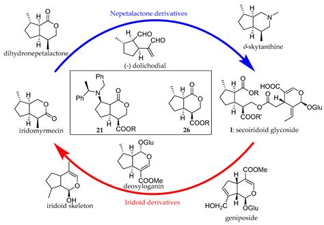 Molecules | Free Full-Text | Multicomponent Domino Reaction in the Asymmetric Synthesis of ...