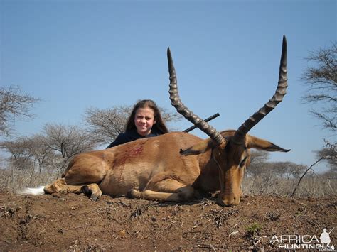 Impala | AfricaHunting.com