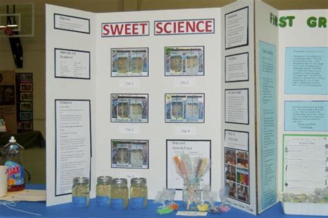 The Study Of Seed Crystals Growth | Science fair, Science project board, Sugar crystal science ...