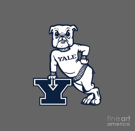 Yale Bulldogs Logo Digital Art by Sport Portal - Fine Art America