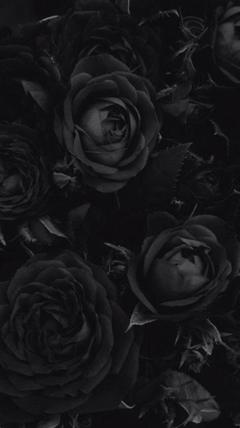 Aesthetic Black Rose Wallpapers - Wallpaper Cave