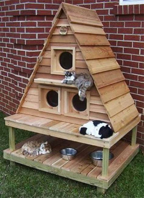 25 best Feral cat house & cat toys,etc images on Pinterest | Chicken breeds, Feral cat house and ...