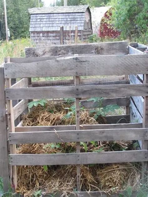 Grow Potatoes in a Potato Bin (Pallet Container) | Family Food Garden