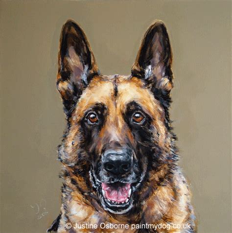 german shepherd dog portrait by Justine Osborne German Shepherd Pictures, German Shepherd Dogs ...