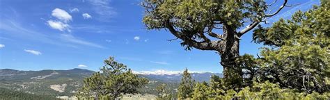 Evergreen Mountain Trail, Colorado - 3,068 Reviews, Map | AllTrails