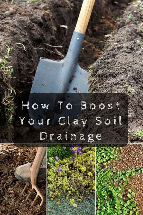 how to improve clay soild drainage | Clay soil, Planting in clay, Garden soil