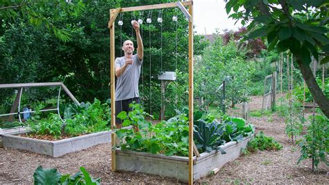 How to Build a Cucumber Trellis Using Only ONE PIECE of WOOD, CHEAP and ...