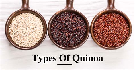 Quinoa: What Is It? Nutrition Facts, Health Benefits, Types & Many More