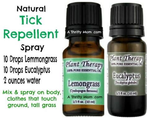 Natural Tick Repellent Spray - A Thrifty Mom - Recipes, Crafts, DIY and ...