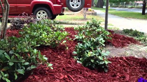 How to mulch a flower bed in 30 seconds. - YouTube