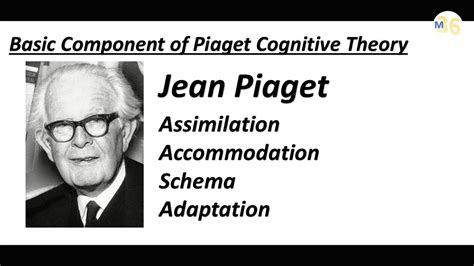 Basic Component of Piaget Theory | Schema | Assimilation | Adaptation | Accommodation | CTET ...