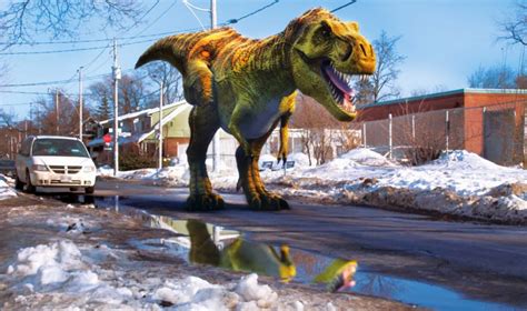 Image - News-Dino-Dan-T-Rex-1024x606.jpg | Fanon Wiki | FANDOM powered by Wikia