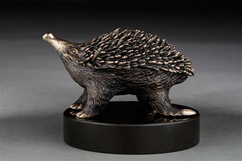 ECHIDNA BRONZE SCULPTURE hand cast in Australia by wildlife | Etsy