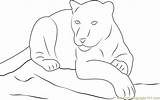 Panther Coloring Pages Free Printable  Templates sketch template