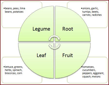 Crop Rotation Guide - Growin Crazy Acres