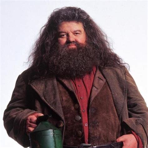 Rubeus Hagrid | Heroes Wiki | Fandom