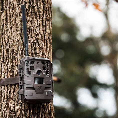 Moultrie Delta Cellular Trail Camera - AT&T | Sportsman's Warehouse