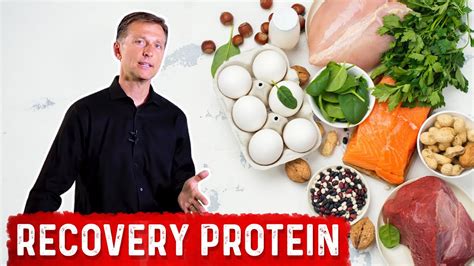 The Best Protein for Recovery from Exercise, Stress and Trauma - YouTube