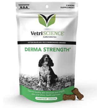 14 Best Skin & Coat Supplements For Dogs in 2024