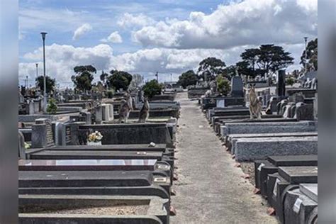 The sight at Preston Cemetery that brought a smile to a funeral director's face