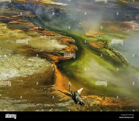 Geothermal features in Yellowstone National Park, Wyoming, United ...