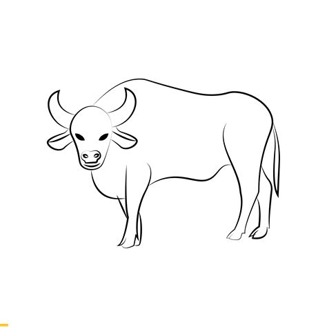 Buffalo Line Art Vector logo Design for Business and Company 3699419 ...