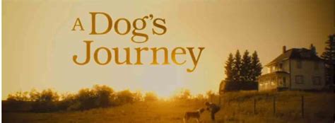 A Dog's Journey - Movie | Cast, Release Date, Trailer, Posters, Reviews, News, Photos & Videos ...