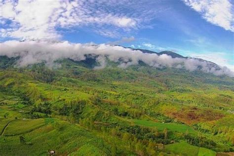 Foto : Taman Nasional Gunung Leuser: Sejarah, Flora dan Fauna, hingga Tempat Wisata di Dalamnya